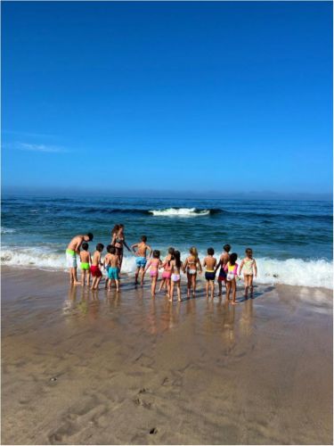Atividades de Verão 2024